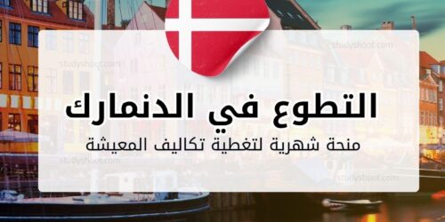 التطوع في الدنمارك