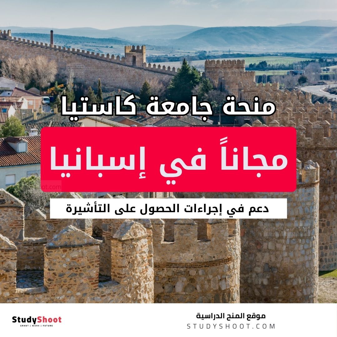 منحة جامعة كاستيا لا مانتشا