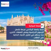 منحة جامعة أليكانتي