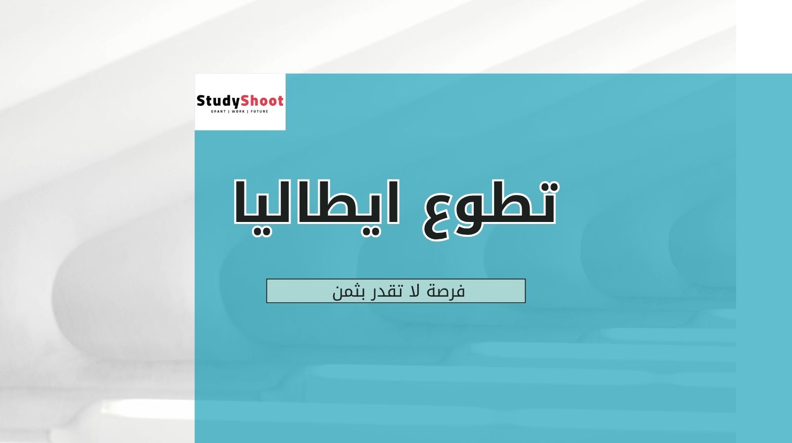 نظرة شاملة على العمل التطوعي في ايطاليا