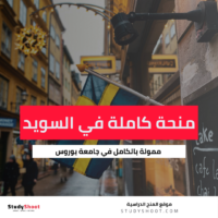 منحة جامعة بوروس