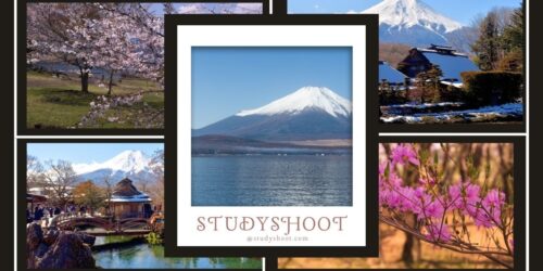 جامعة ياماناشي