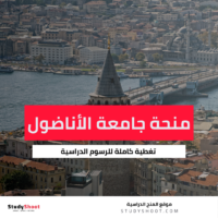 منحة جامعة الأناضول