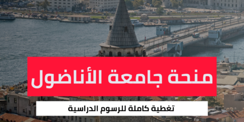 منحة جامعة الأناضول