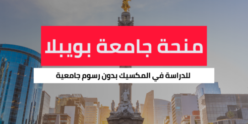 منحة جامعة بويبلا