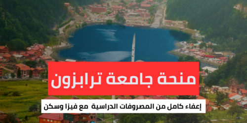 منحة جامعة ترابزون