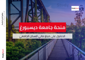 منحة جامعة ديسبورغ ايسن