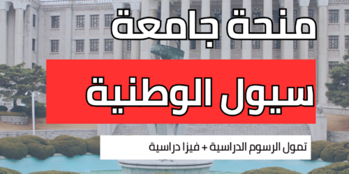 منحة جامعة سيول الوطنية