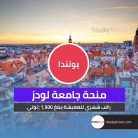 منحة جامعة لودز