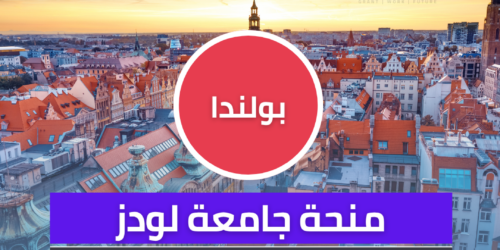 منحة جامعة لودز