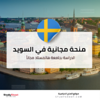 منحة جامعة هالمستاد