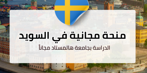 منحة جامعة هالمستاد