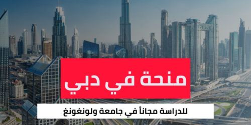 منحة جامعة ولونغونغ في دبي