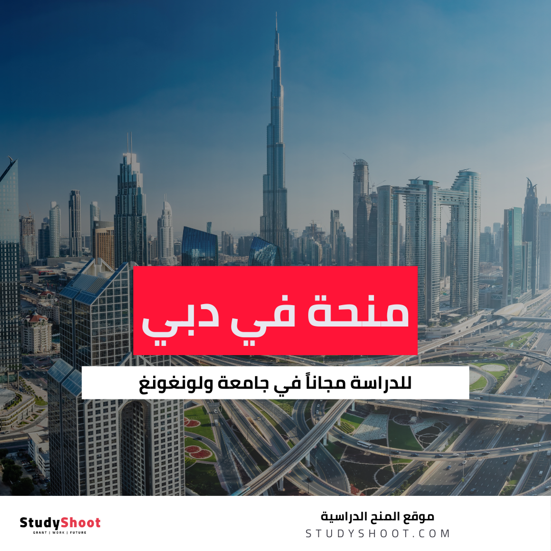 منحة جامعة ولونغونغ في دبي