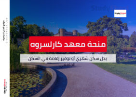 منحة معهد كارلسروه