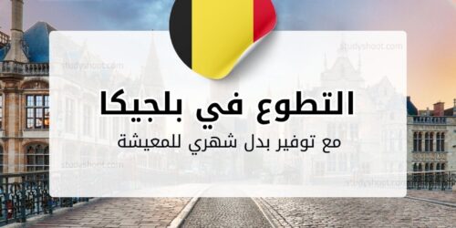 التطوع في بلجيكا