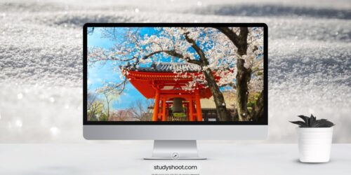 الهجرة إلى اليابان