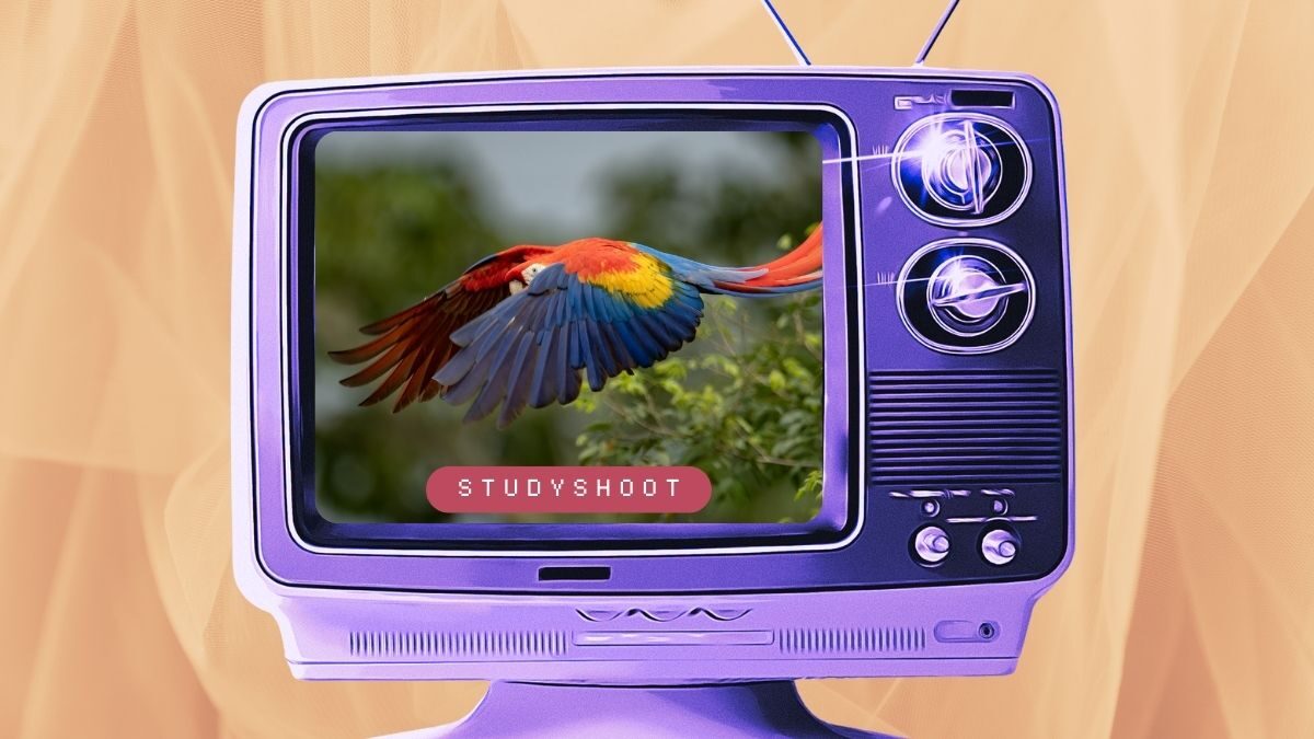 دراسة الصحافة في كوستاريكا