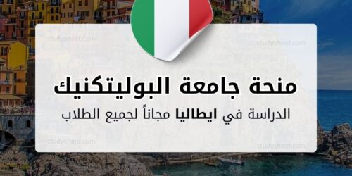 منحة جامعة البوليتكنيك في تورينو