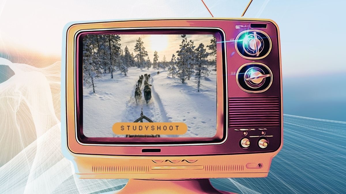 دراسة التربية في السويد