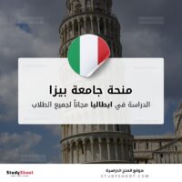 منحة جامعة بيزا