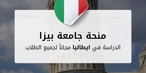 منحة جامعة بيزا