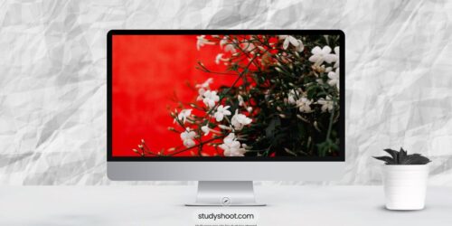 التأمين الصحي للطلاب في تركيا