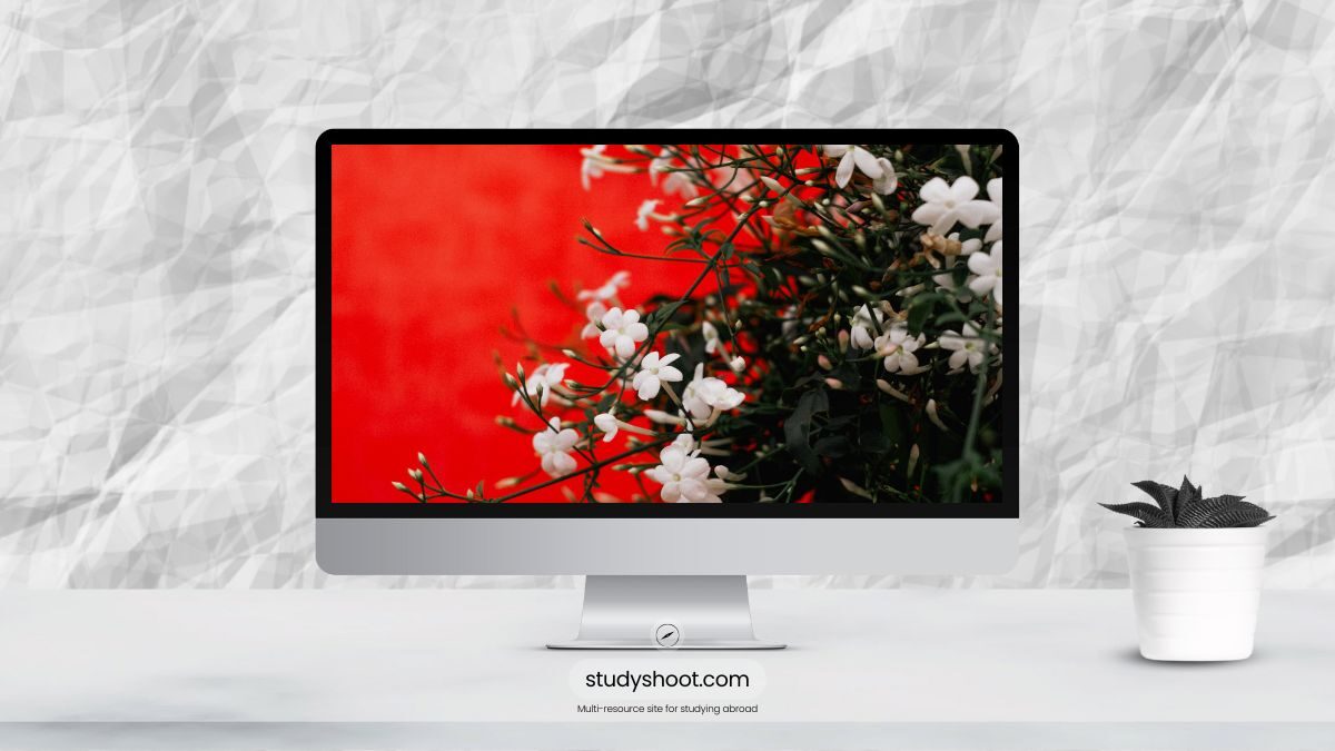 التأمين الصحي للطلاب في تركيا