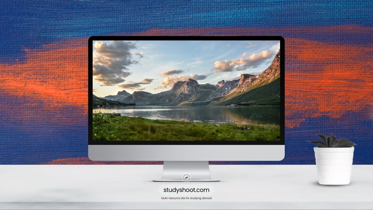 العمل أثناء الدراسة في النرويج