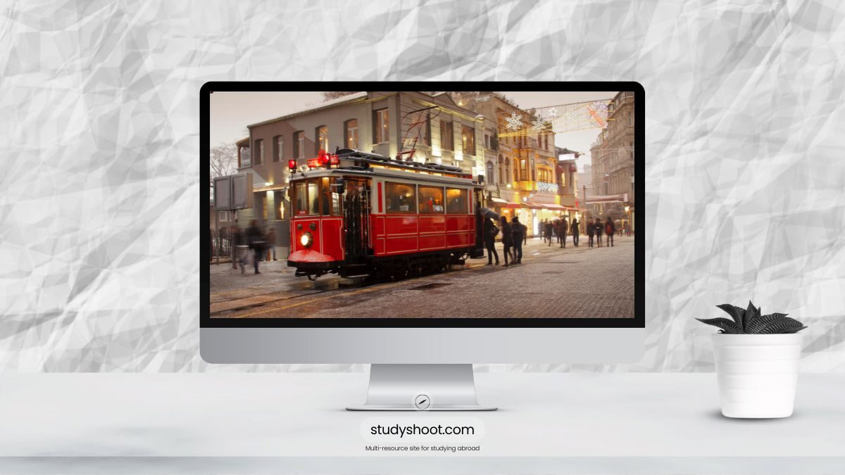 العمل أثناء الدراسة في تركيا