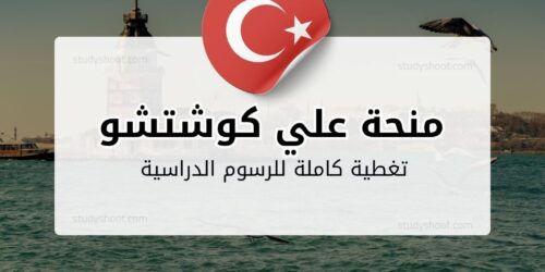 منحة علي كوشتشو