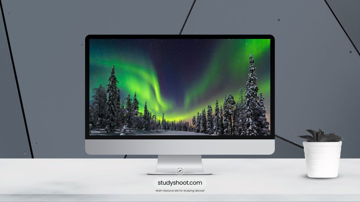 الحصول على الإقامة الدائمة في فنلندا