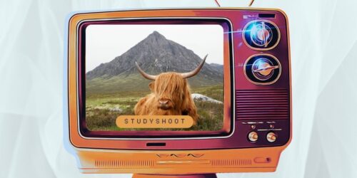 دراسة إدارة الأعمال في اسكتلندا