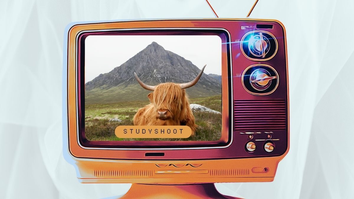 دراسة إدارة الأعمال في اسكتلندا