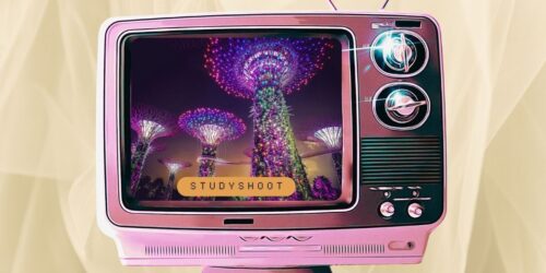 دراسة البيطري في سنغافورة