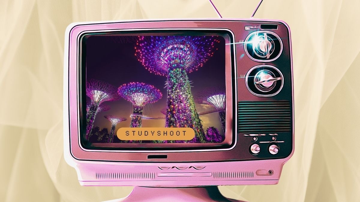 دراسة البيطري في سنغافورة