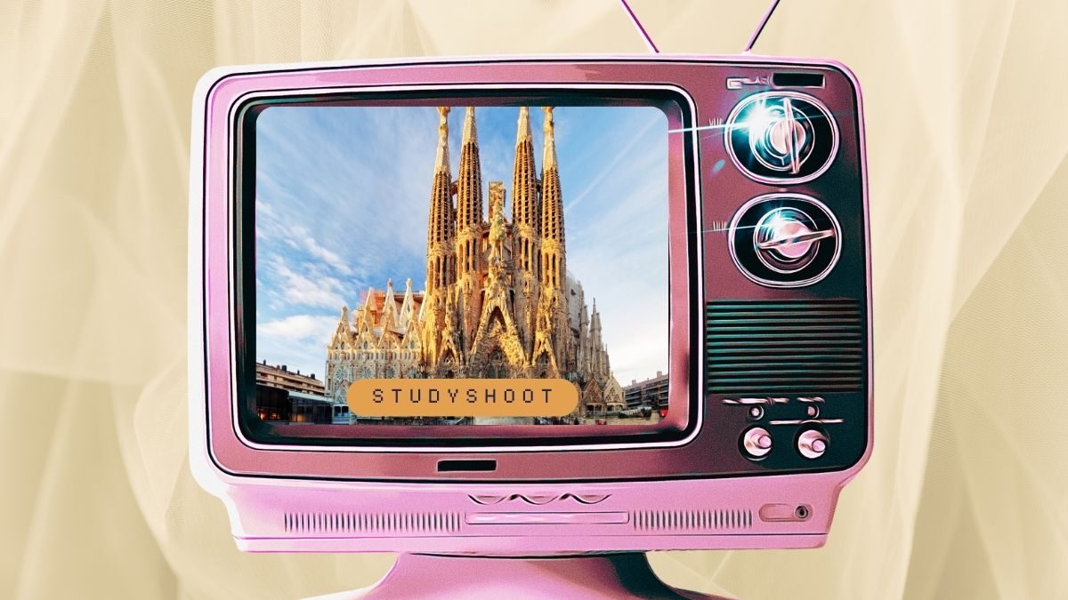 دراسة البيطري في إسبانيا