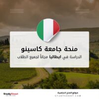 منحة جامعة كاسينو