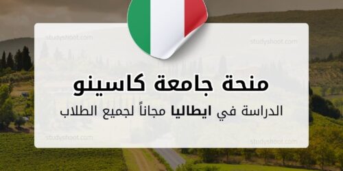 منحة جامعة كاسينو