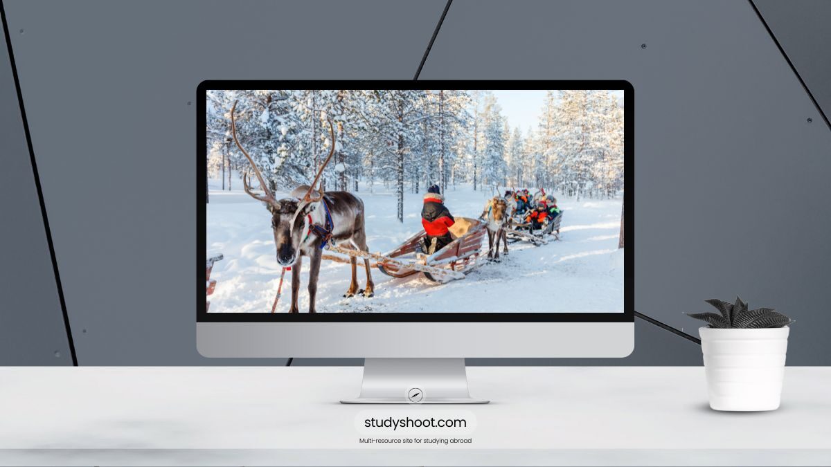 اللجوء في فنلندا