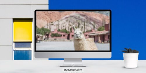 جامعات سهلة القبول في الأرجنتين