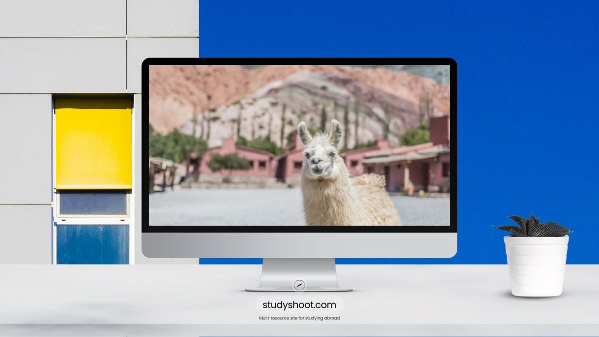 جامعات سهلة القبول في الأرجنتين