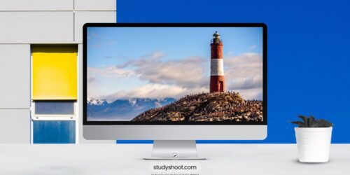 التأمين الصحي للطلاب في الأرجنتين