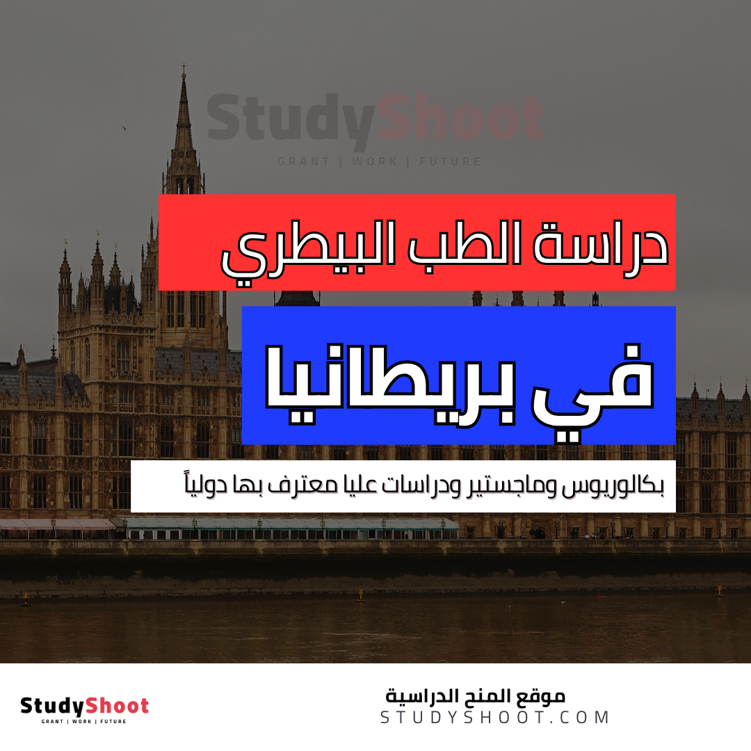 دراسة الطب البيطري في بريطانيا