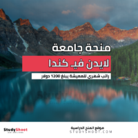 منحة جامعة لايدن