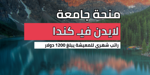 منحة جامعة لايدن