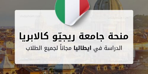 منحة جامعة ريجيّو كالابريا