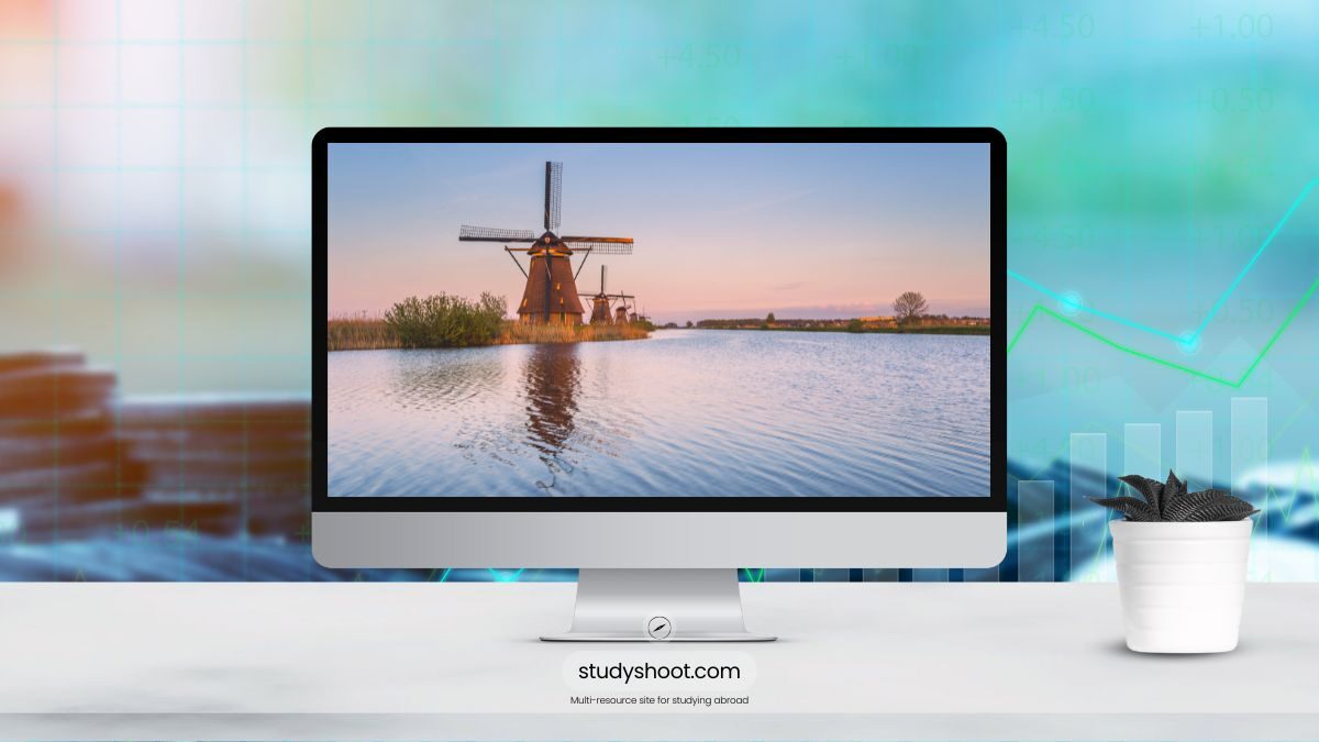 لم الشمل في هولندا