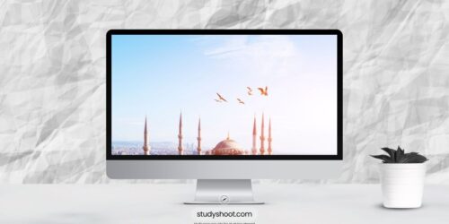 لم الشمل في تركيا