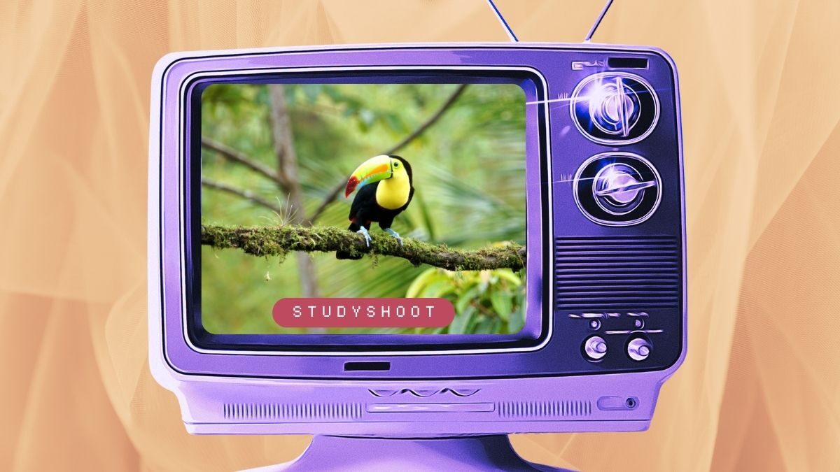 دراسة القانون في كوستاريكا